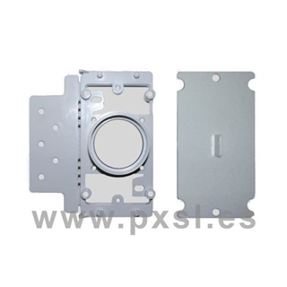 Contratoma americana - Imagen 1