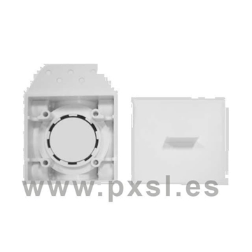 Contratoma europea con tapa - Imagen 1